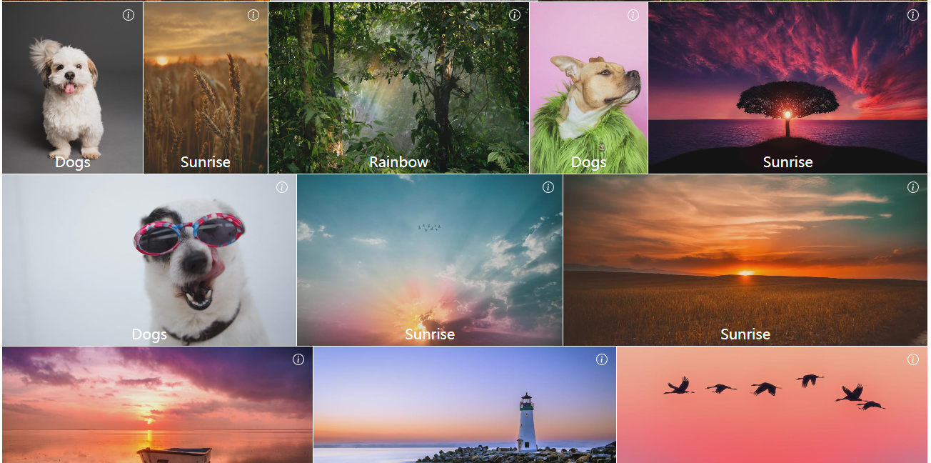 图库扁平样式 图库扁平样式